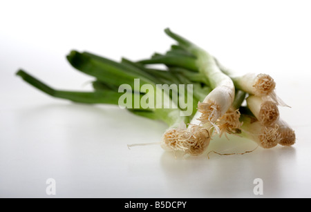 bunch of green spring salad onions on white background Stock Photo