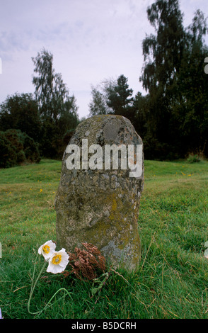 Headstone marking the clans' graves (clan Cameron), Culloden Moor battlefield, near Inverness, Highland region, Scotland Stock Photo