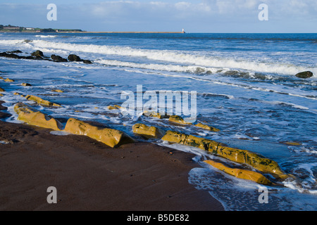 Spittal Beach Mouth Of River Tweed Near Berwick Rocks On The Tideline ...