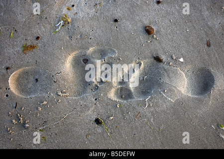 Footprints on the sand Stock Photo
