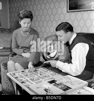 Terry Hall with Lenny the lion seen here at home. 1960 A1226-003 Stock Photo