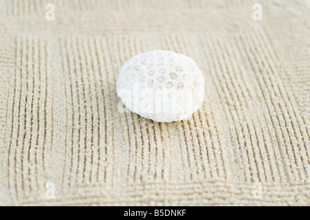 Piece of coral on raked sand, still life Stock Photo