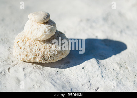 Coral and rock stacked on top of each other, casting shadow Stock Photo