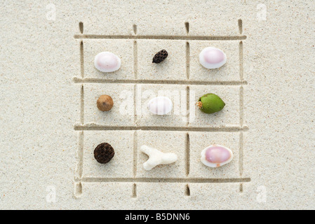 Seashells, coral and nuts arranged on grid drawn in sand, close-up Stock Photo