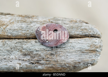Round stone on driftwood, close-up Stock Photo
