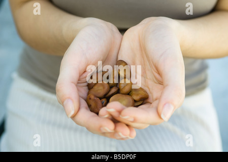 Cupped hands holding large brown seeds Stock Photo