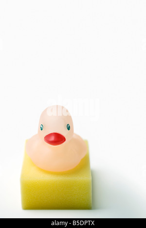 Rubber duck resting on sponge Stock Photo