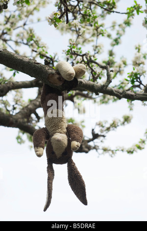 Stuffed rabbit hanging upside down on tree branch Stock Photo