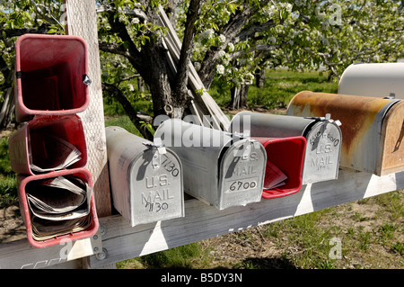 Mailboxes, Manson area, Washington State, USA, North America Stock Photo