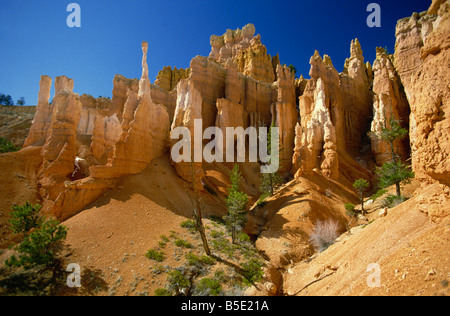 Bizarre rock sculptures in the Queens Garden of the Bryce Amphitheatre, Bryce Canyon National Park, Utah Stock Photo