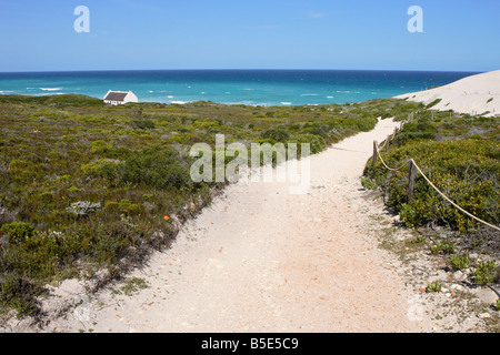 A path way leading to solitary house looking out to sea surrounded by thick fynbos - De Hoop Nature Reserve , South Africa Stock Photo