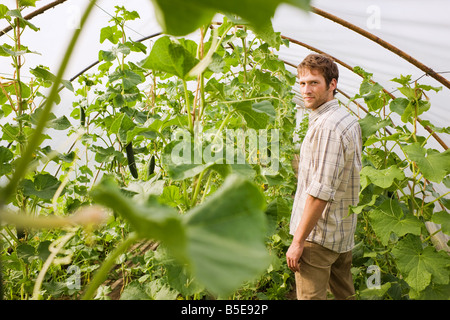 Man in greenhouse Stock Photo