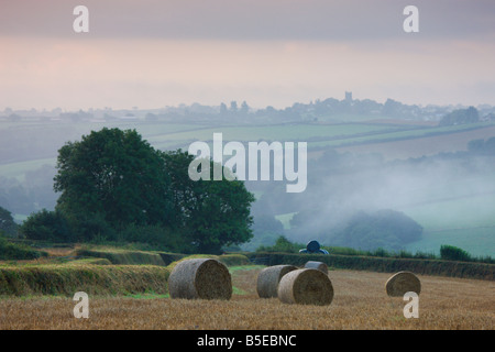 Hay bales in a field on a misty summers morning near the mid Devon village of Morchard Bishop England Stock Photo