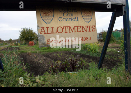 Allotment Plot Stock Photo