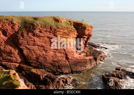 Sandstone sea cliffs in winter sunshine Stock Photo