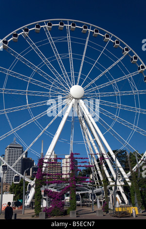 person standing in front of the wheel of brisbane, on the south bank,queensland,australia Stock Photo