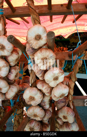 Giant garlic for sale at road side stall Stock Photo