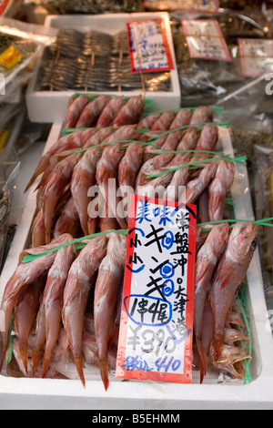 fresh fishes Tsukiji fish market Tokyo Japan Stock Photo - Alamy