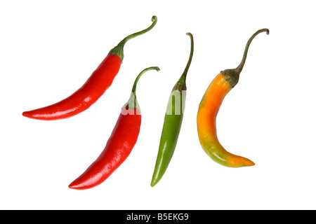 Chili peppers cutout on white background Stock Photo