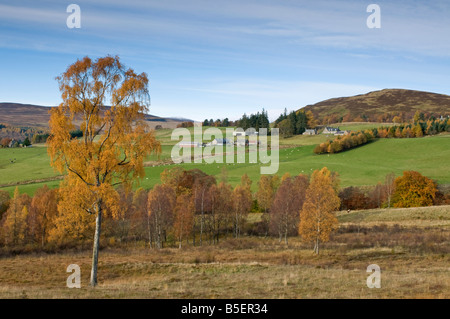 Tirinie, Lude in Glen Fender Blair Atholl Perthshire Tayside Region Scotland UK   SCO 1122 Stock Photo