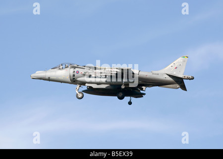 A Bae systems Harrier jump jet on final approach Stock Photo