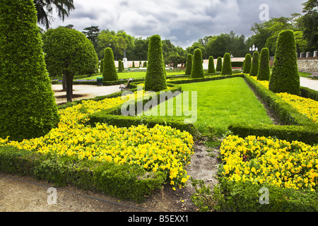 Freakish trees flower beds and footpaths in park Buen Retiro Stock Photo