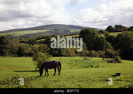 A lovely view of Exmoor from the roadside near Wootton Courtenay, an ideal area for pony trekking Stock Photo