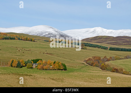 Lude in Glen Fender Blair Atholl Perthshire Tayside Region Scotland UK   SCO 1101 Stock Photo