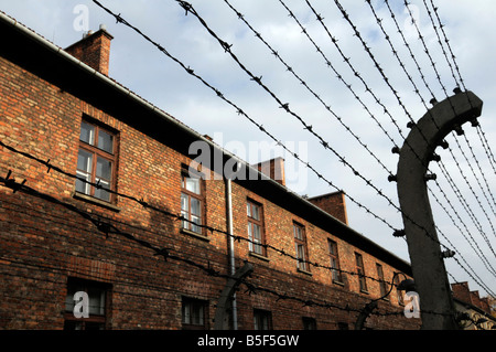 View of barbed wire with buildings of the Auschwitz nazi extermination camp in the background. Stock Photo