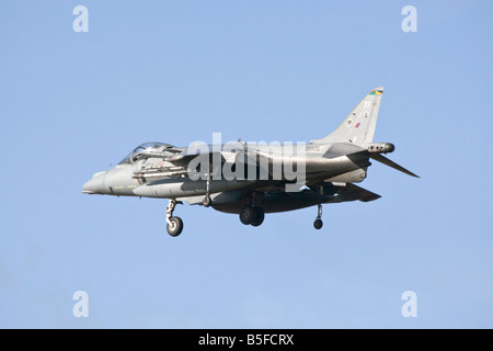 A Bae systems Harrier jump jet on final approach Stock Photo