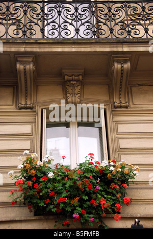 Windows and balconies of old apartment buildings in Paris France Stock Photo