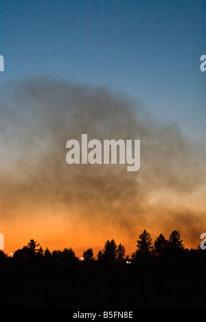 fire in the forest near a village Stock Photo