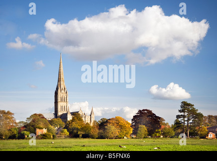 Autumn view of Salisbury cathedral actcross the water meadow Stock Photo