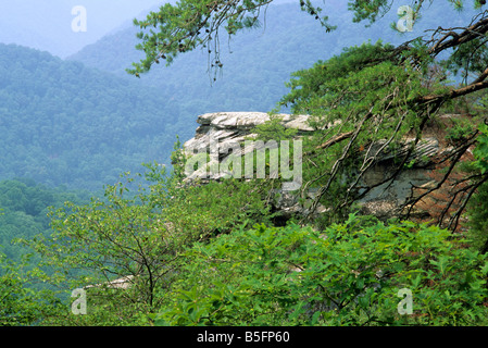 Breaks Interstate Park, VA-KY; Summer view over canyon formed by Russell Fork, toward outcropping cliffs Stock Photo