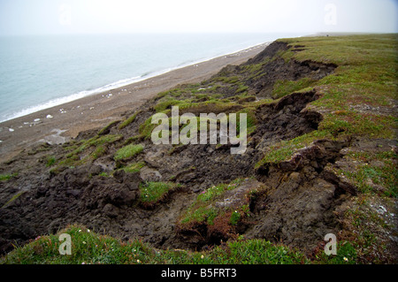erosion due to melting permafrost rising sea levels and surf along the Arctic coast is causing the land to slump Arctic Stock Photo