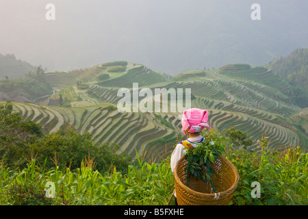 Zhuang girl carrying basket with rice terraces Longsheng Guangxi China Stock Photo