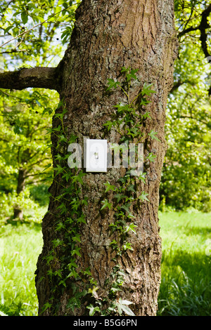 A light switch on a tree trunk in a forest Park like setting on a sunny day Stock Photo