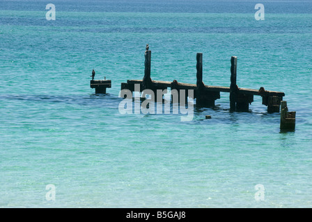 Remains of an old jetty Busselton, Western Australia Stock Photo