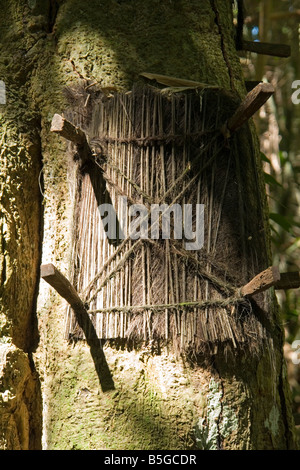 A close-up shot on a baby's tomb, at Kambira (Sulawesi - Indonesia). Gros plan sur une tombe d' enfant, à Kambira. Stock Photo