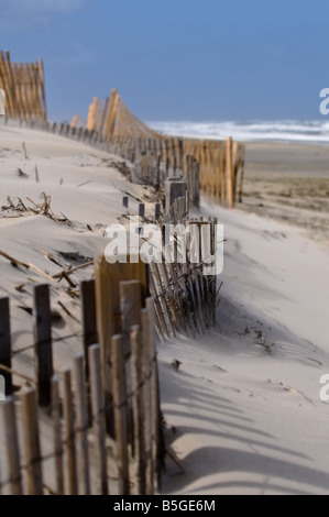 Weathered wooden fending on an empty beach at the end of summer Outer Banks North Carolina USA Stock Photo