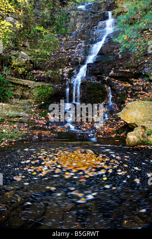 Reedy Branch Falls in South Carolina Sumter National Forest Stock Photo