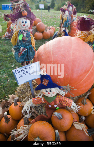 Nalls Farm Market pumpkin display at the 2008 Shenandoah Valley Hot Air Balloon and Wine Festival at Historic Long Branch in VA. Stock Photo