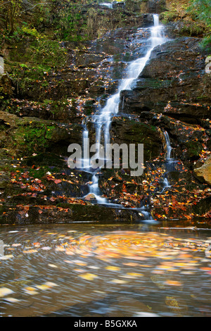 Fall color at Reedy Branch Falls in South Carolina Stock Photo