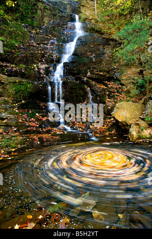 Reedy Branch Falls in South Carolina Sumter National Forest Stock Photo