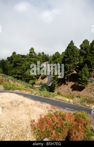 The LP-1032 leading up to the Isaac Newton Group of Telescopes on the island of La Palma, Canary Islands, Spain. Stock Photo