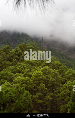 A view from the hiking trail in the Caldera de Taburiente, La Palma, Canary Islands, Spain. Stock Photo