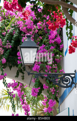 Puerto Mogan Bougainville with Canary lantern purple Bougainvillea in holiday resort of Puerto Mogan in south Gran Canaria Canary Islands Spain Stock Photo