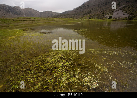 Temporary Pond on the Omalos plateau White Mountains Crete rare habitat EU protected Stock Photo