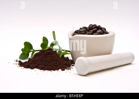 A mortar with freshly roasted coffee beans and a pile of coffee grind with some leaves in the back on a white background Stock Photo