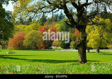 Castle grounds of Glamis castle, in spring. Angus, Scotland. Stock Photo